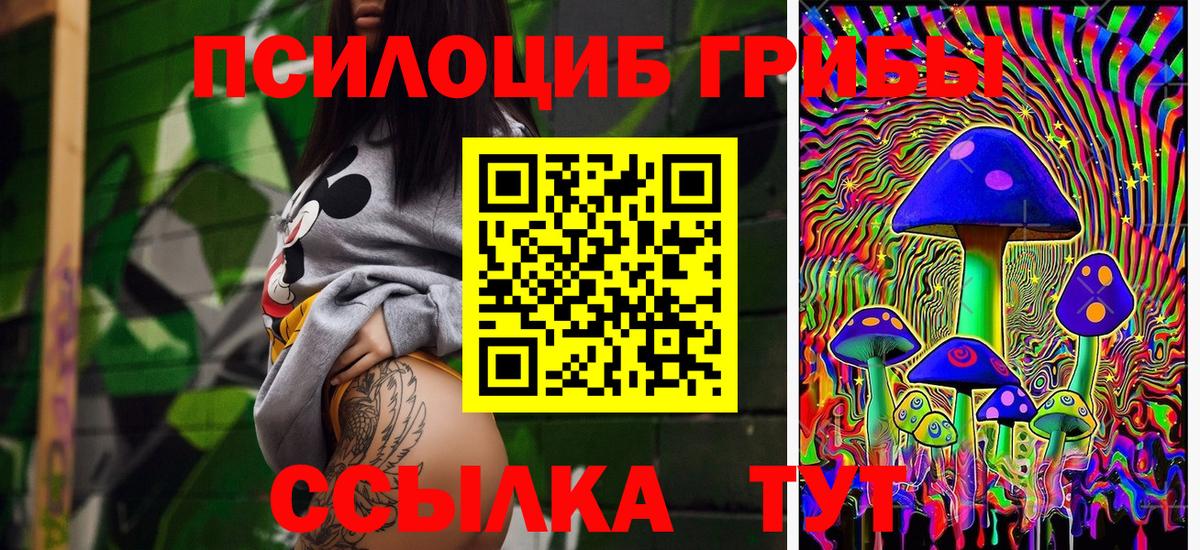 Псилоцибиновые грибы Magic Shrooms  Вход с VPN  Баксан  Псилоцибиновые грибы прущие грибы 